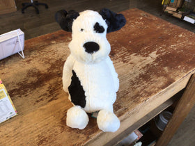 Rufferty Puppy