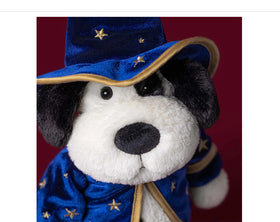 Raffety Puppy Wizard Outfit
